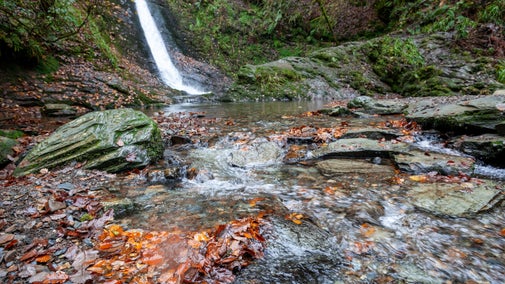 The lower section of Whitelady Waterfall can be seen falling in a white cascade down into a rock strewn river with autumn leaves all around.